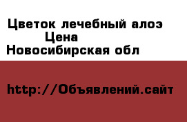Цветок лечебный алоэ › Цена ­ 600-800 - Новосибирская обл.  »    